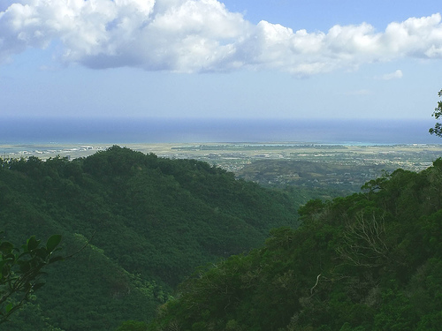 Oahu Hiking Trails