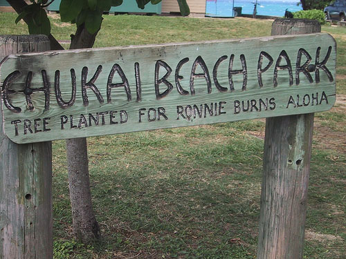 Oahu Beaches