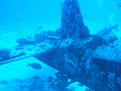 Dive Oahu Hawaii