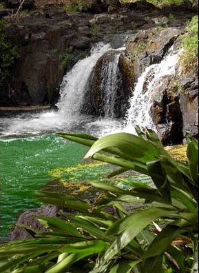 Oahu Nature Tours