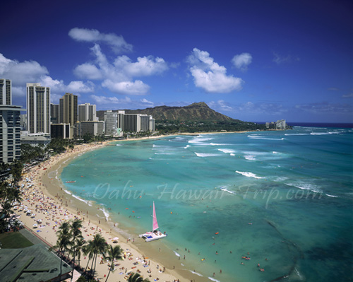 Oahu Tours