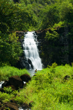 Oahu Tours